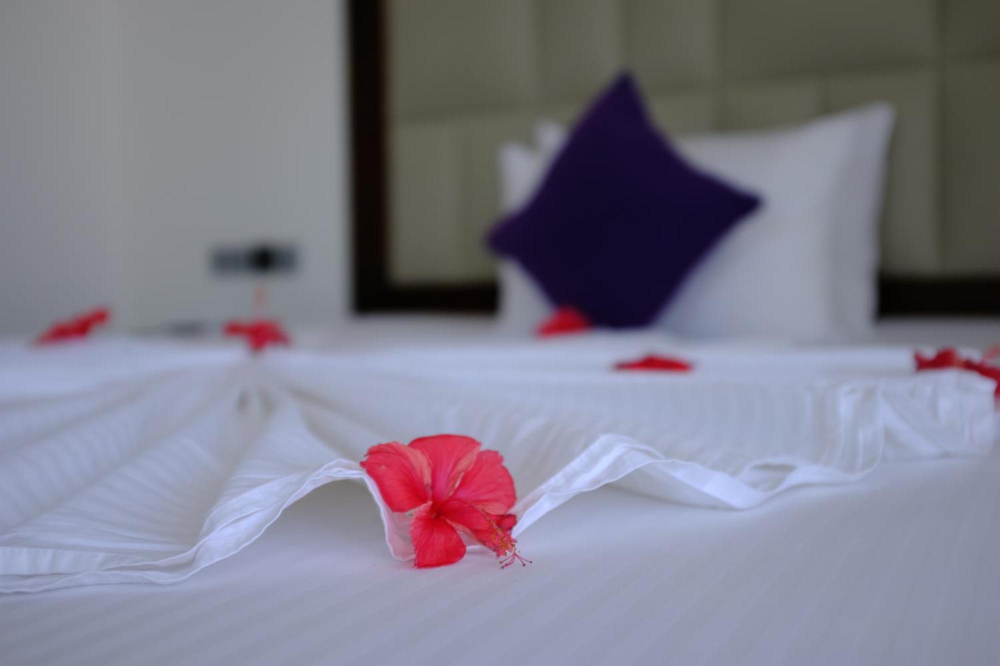 Mzion Hotel 웰리가마 외부 사진